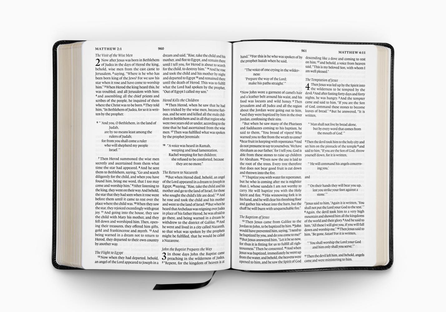 ESV LARGE PRINT BIBLE TRUTONE BLACK