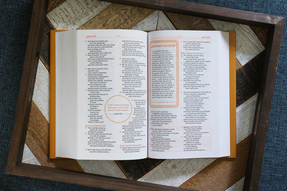 KJV TEEN STDY BIBLE HC