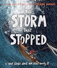 THE STORM THAT STOPPED PICTURE BOOK