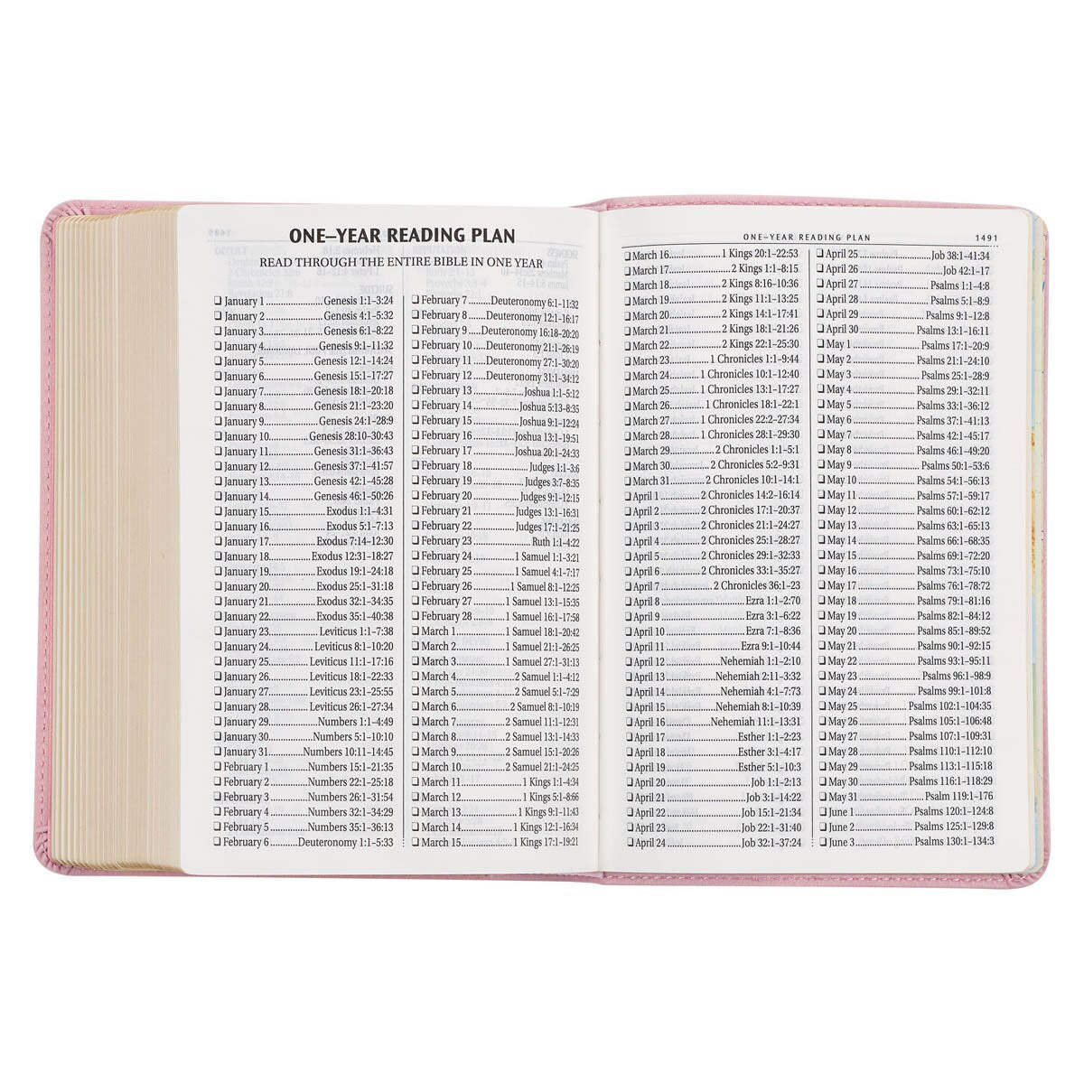 CAG KJV207 KJV BIBLE COMPACT LP FAUX LEATHER, PINK