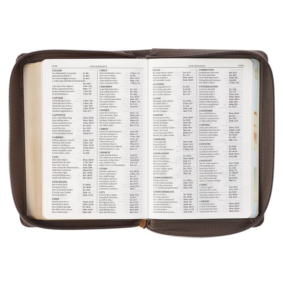 CAG KJV249 KJV BIBLE COMPACT LP FAUX LEATHER, GRAY W/ZIPPER