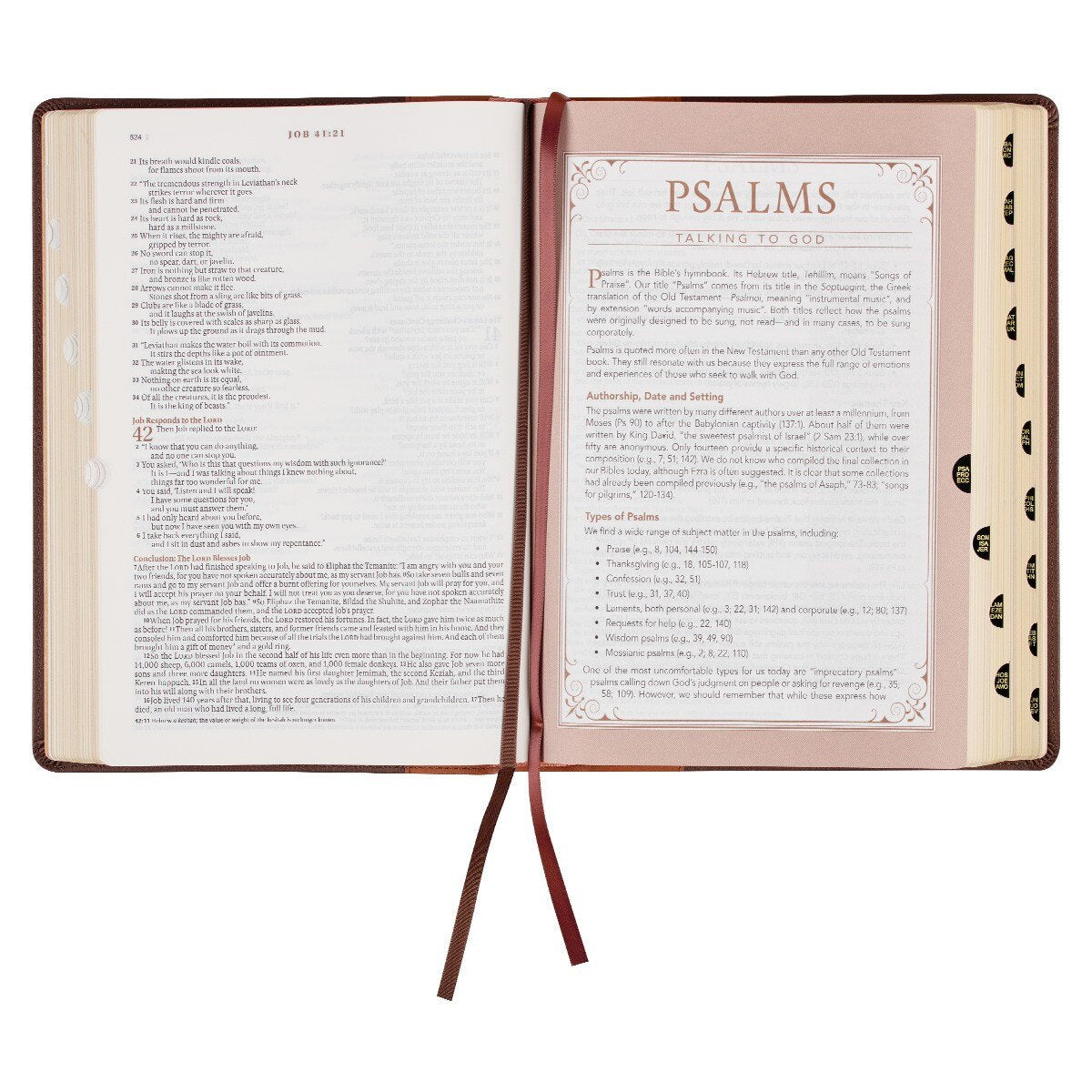 CAG SGB005 NLT, THE SPIRITUAL GROWTH BIBLE FAUX LEATHER, CHOCOLATE BROWN/GINGER