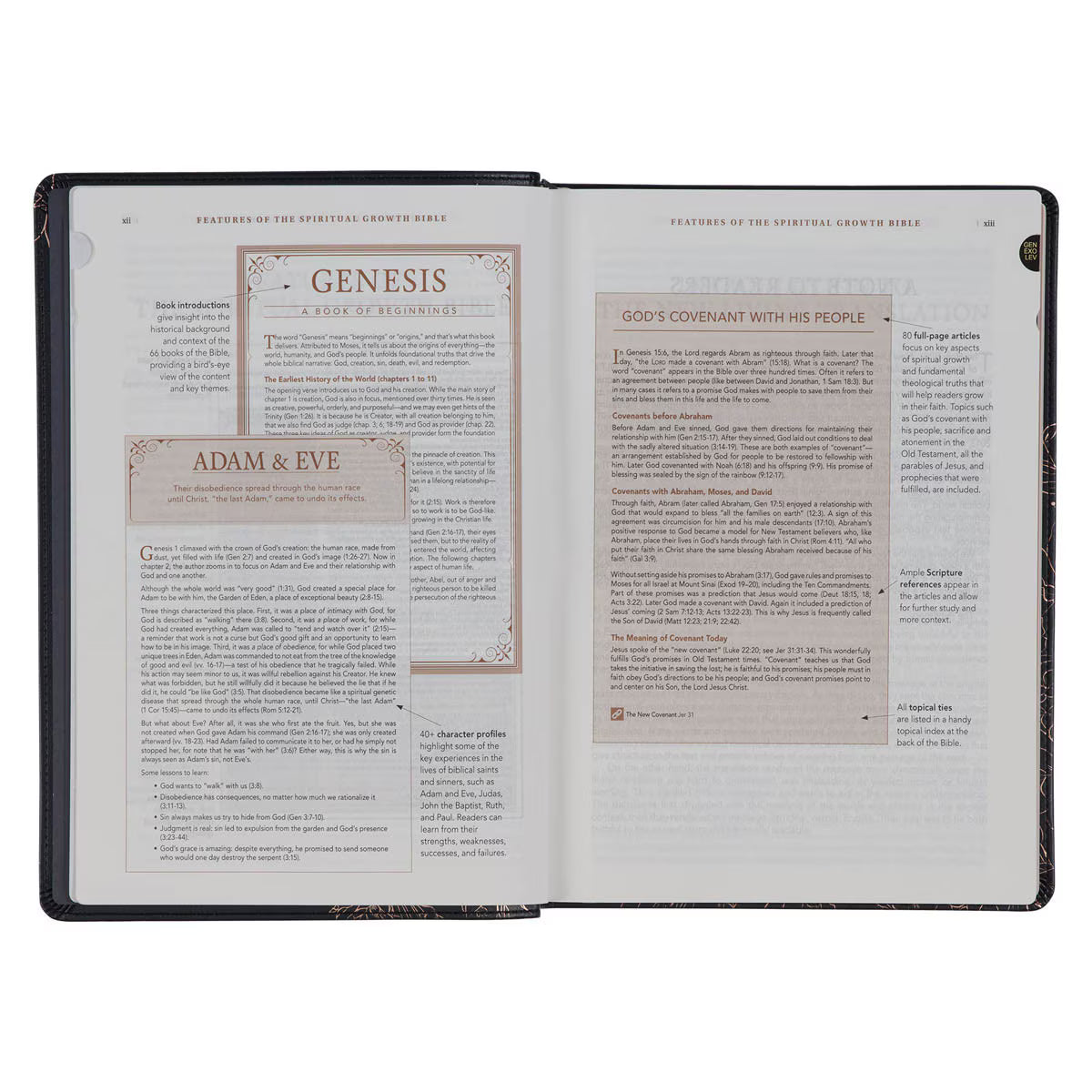 CAG SGB017 NLT, THE SPIRITUAL GROWTH BIBLE FAUX LEATHER, BLACK FLORAL