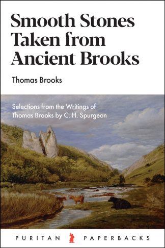 PURITAN PB SMOOTH STONES TAKEN FROM ANCIENT TH BROOKS
