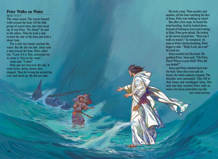 SPH CHILDRENS BIBLE/408P