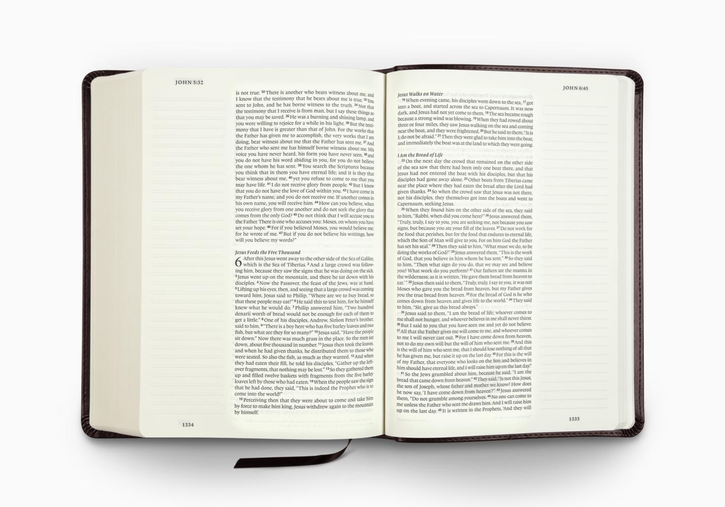 ESV JOURNALING BIBLE 1 COLUMN LARGE PRT TT DEEP BR