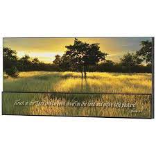 DIC SPLK 168-809 TRUST IN THE LORD