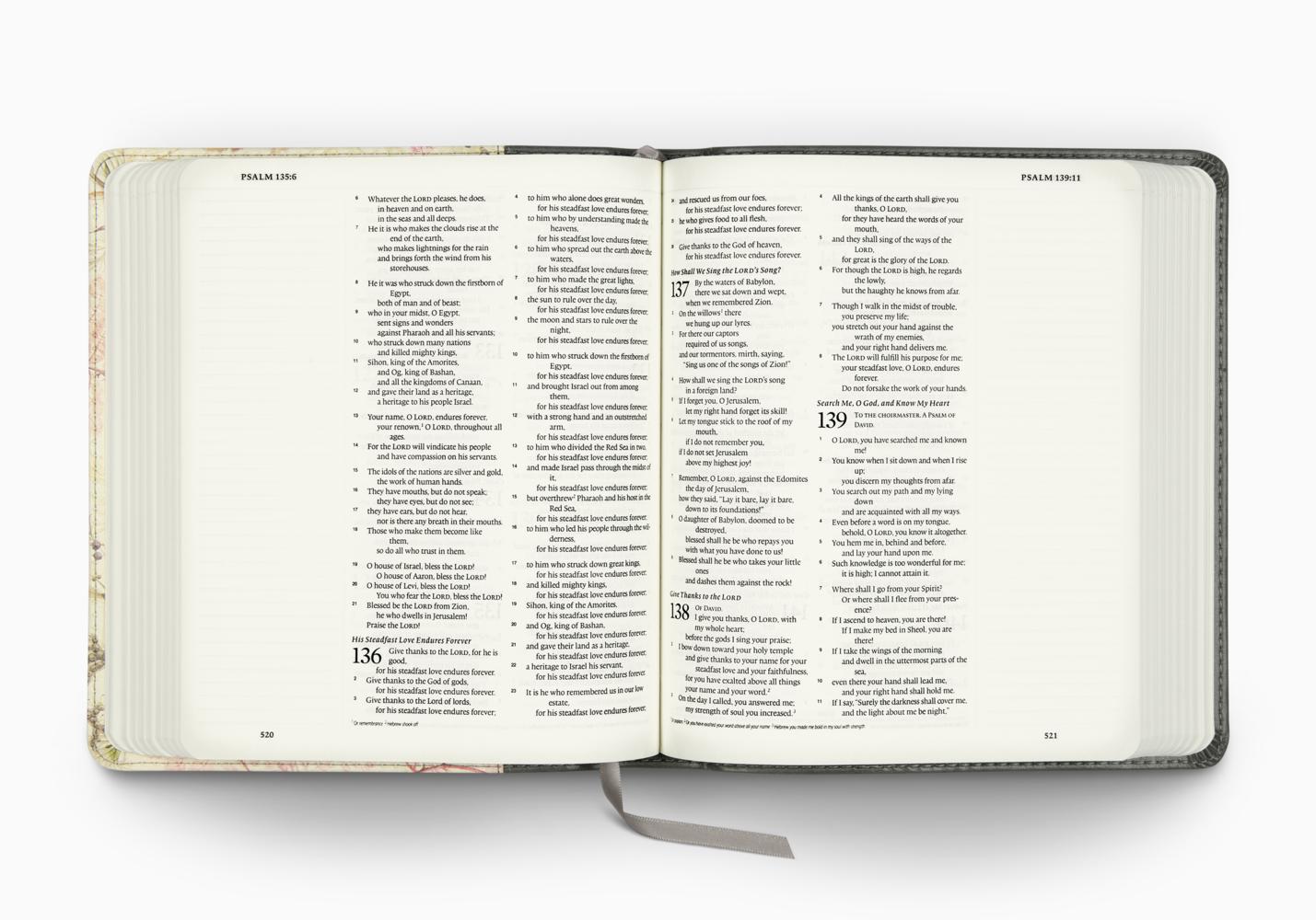 ESV JOURNALING BIBLE TT ELEGANT GRACE
