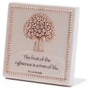 DIC PLQTTD-1 TT PLAQUE DOLOMITE FRUIT OF THE SPIRIT