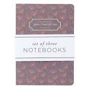 CAG NBS033 SET OF 3 NOTEBOOKS LG I KNOW THE PLANS