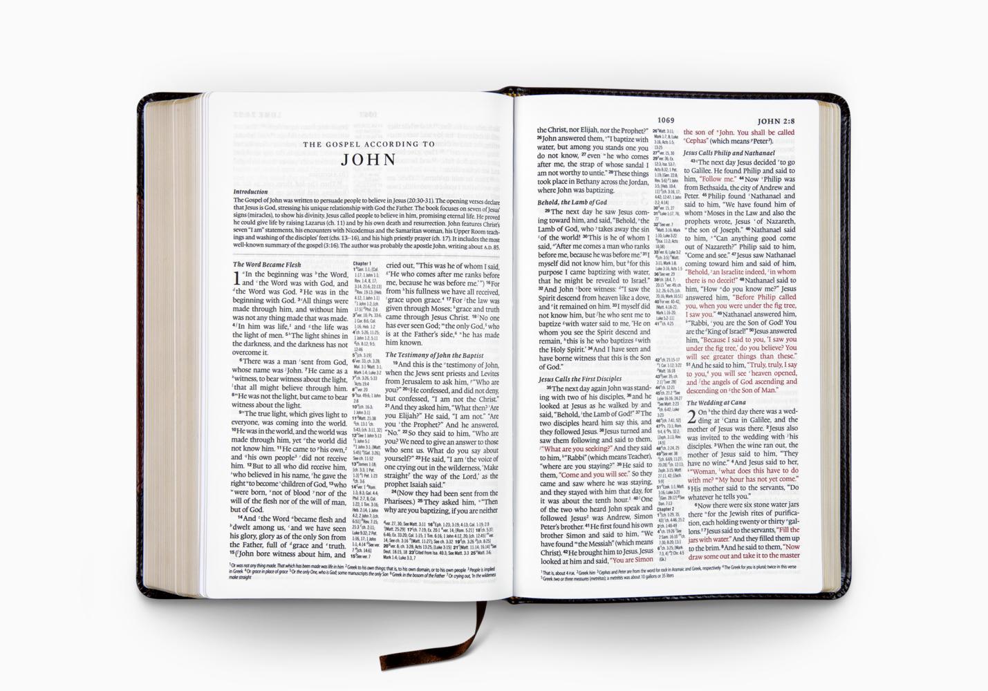 ESV REFERENCE BIBLE TT BROWN CORD PORTFOLIO