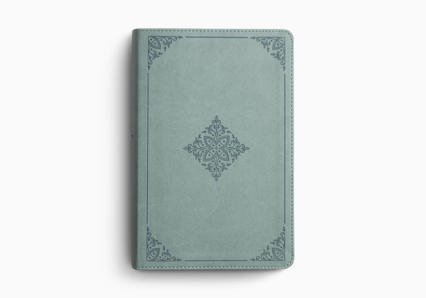 ESV STUDENT STUDY BIBLE (TT, PARIS SKY)