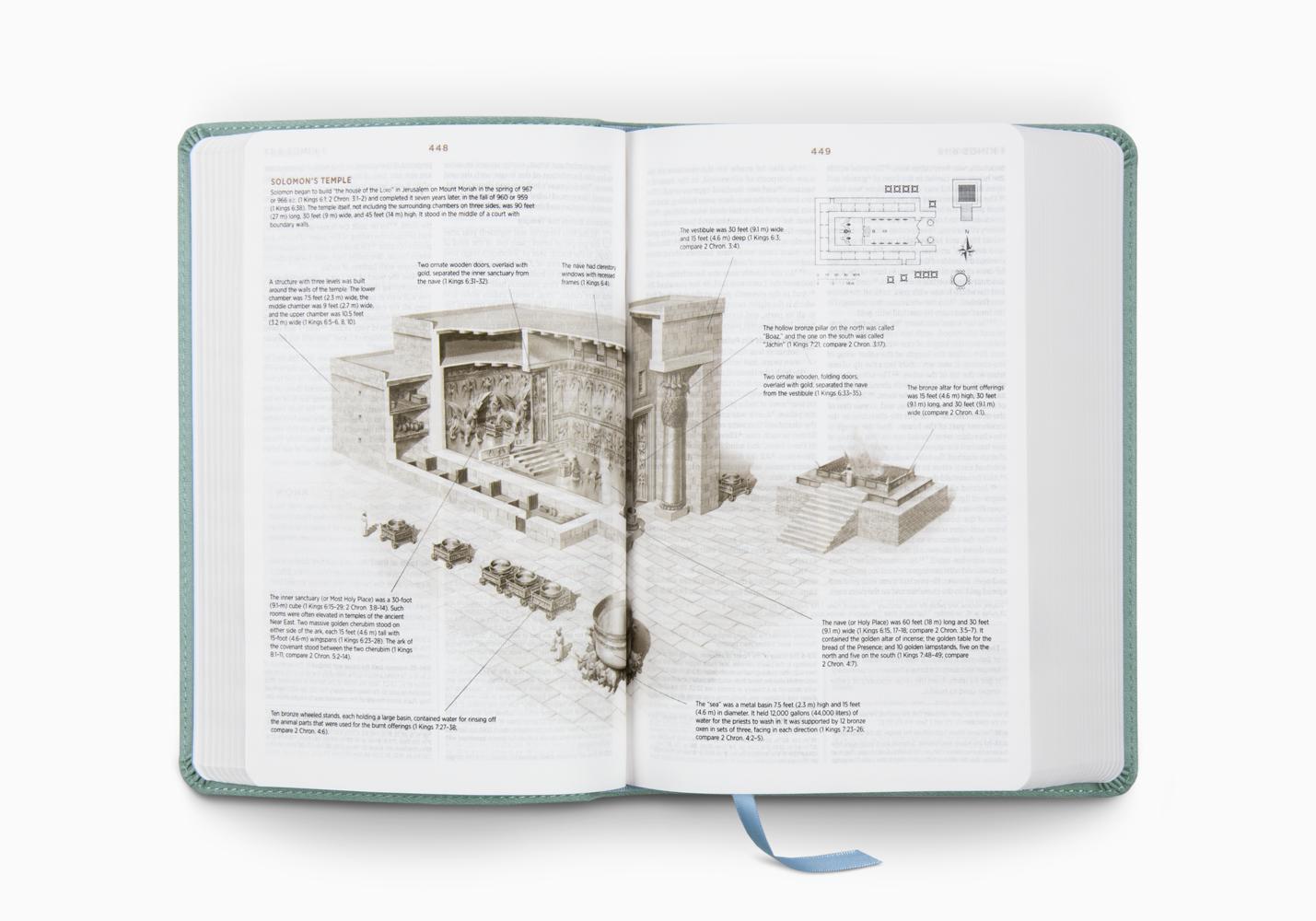 ESV STUDENT STUDY BIBLE (TT, PARIS SKY)