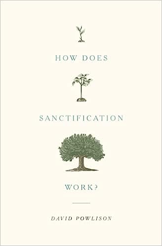 HOW DOES SANCTIFICATION WORK