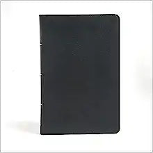 CSB HOL LARGE PRT PERSONAL SZ REF BLK IDX LT
