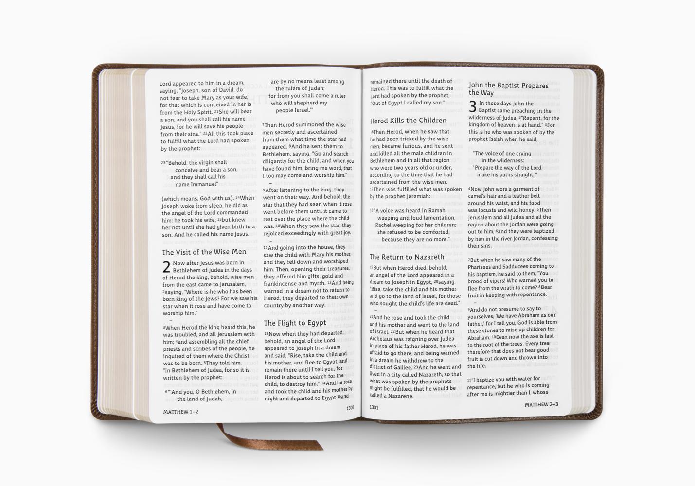ESV HOLY BIBLE: DYSLEXIA-FRIENDLY ED. TT