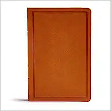 CSB HOL DELUXE GIFT BIBLE LT TAN