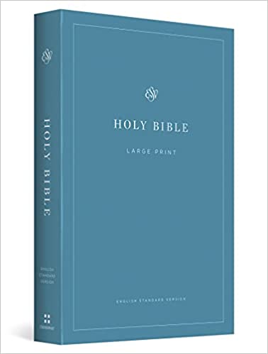 ESV ECONOMY OUTREACH BIBLE SOFTCOVER LARGE PRT BLUE 2017