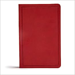 CSB HOL DELUXE GIFT BIBLE LT BURGUNDY
