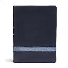 CSB HOL APOLOGETICS STUDY BI LT NAVY