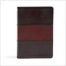 NIV HOL RAINBOW STUDY BIBLE LT SADDLE BROWN