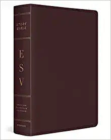 ESV STUDY BIBLE LARGE PRT BONDED LEATHER BURGUNDY