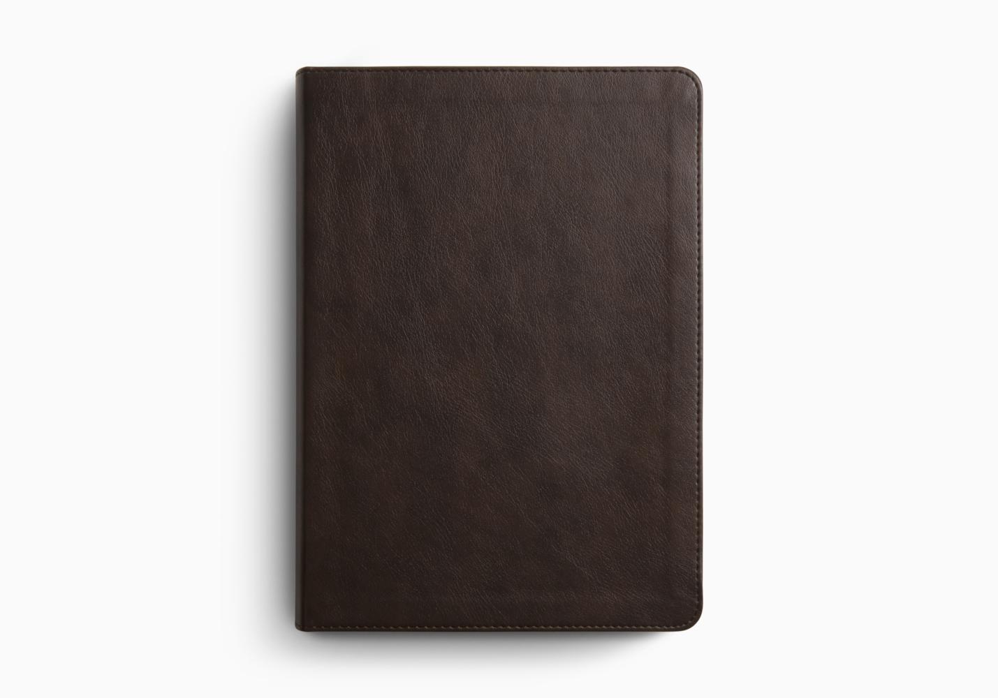 ESV JOURNALING BIBLE 1 COLUMN LARGE PRT TT DEEP BR