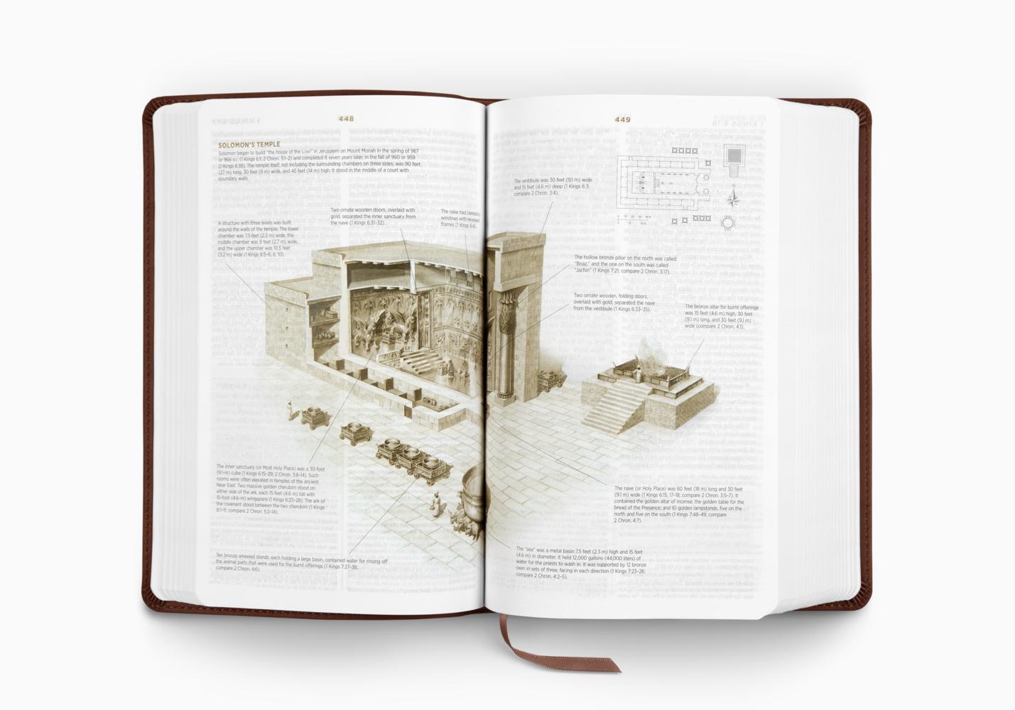 ESV STUDENT STUDY BIBLE (TT, CHESTNUT)