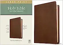 NLT TYN THINLINE LARGE PRT REF BIBLE LL BROWN