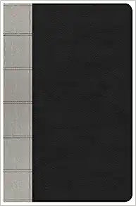 NKJV HOL LARGE PRT PERSONAL SZ REF BI DELUXE LT BLAK/GRAY