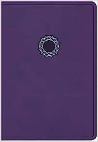 NKJV HOL DELUXE GIFT BI PERSONAL SIZE LT PURPLE-TEAL