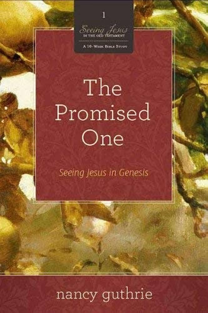 SEEING JESUS IN OT BOOK 1 THE PROMISED ONE BI STUDY