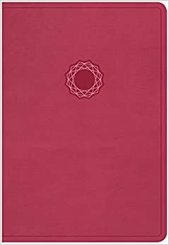 NKJV HOL DELUXE GIFT BI PERSONAL SIZE LT PINK