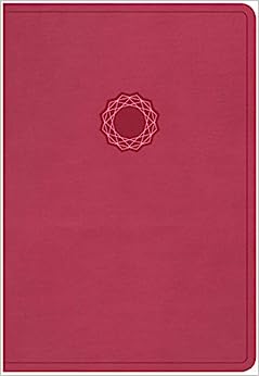 KJV HOL DELUXE GIFT BIBLE PERSONAL SZ LT PINK