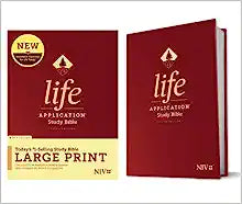 NIV TYN LIFE APP STUDY BI 3RD ED LARGE PRT RLE HC