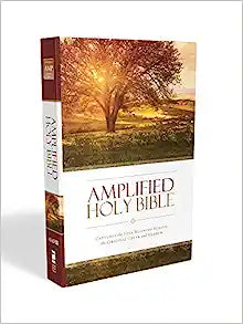 AMPLIFIED HOLY BIBLE STANDARD SIZE HC 2015 ED