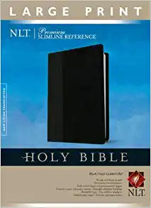 NLT PREMIUM SLIMLINE LP REF BI LL BLACK