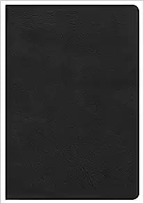 KJV HOL GIANT PRT REF BI LT BLAK