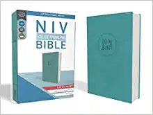NIV ZON VALUE THINLINE BI LARGE PRT LS TURQUOISE