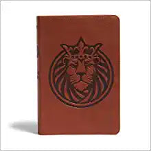 KIDS BI HOL KJV KIDS BIBLE LARGE PRT LION LT RLE