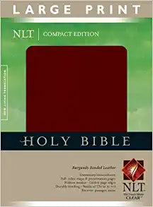 NLT COMPACT LARGE PRT BI LL BROWN/TAN