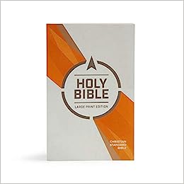 CSB HOL OUTREACH BIBLE PAPERBACK LARGE PRT ED
