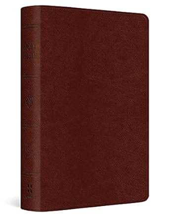 ESV POCKET SIZE BIBLE TT CHESTNUT