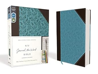 NIV JOURNAL WORD BI LEASOFT BROWN BLUE