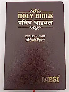 BSI BI HINDI-ENGLISH DIGLOT OV RE EDIT- ESV LEATH