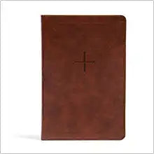 CSB EVERY DAY WITH JESUS DAILY BIBLE LT