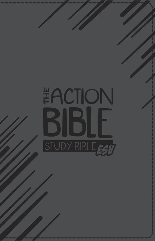 KIDS ESV ACTION STUDY BI PREMIUM ED VIRTUAL LEA SLATE GRAY