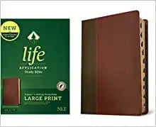 NLT TYN NLT LIFE APP STUDY BI 3RD ED LARGE PRT RLE