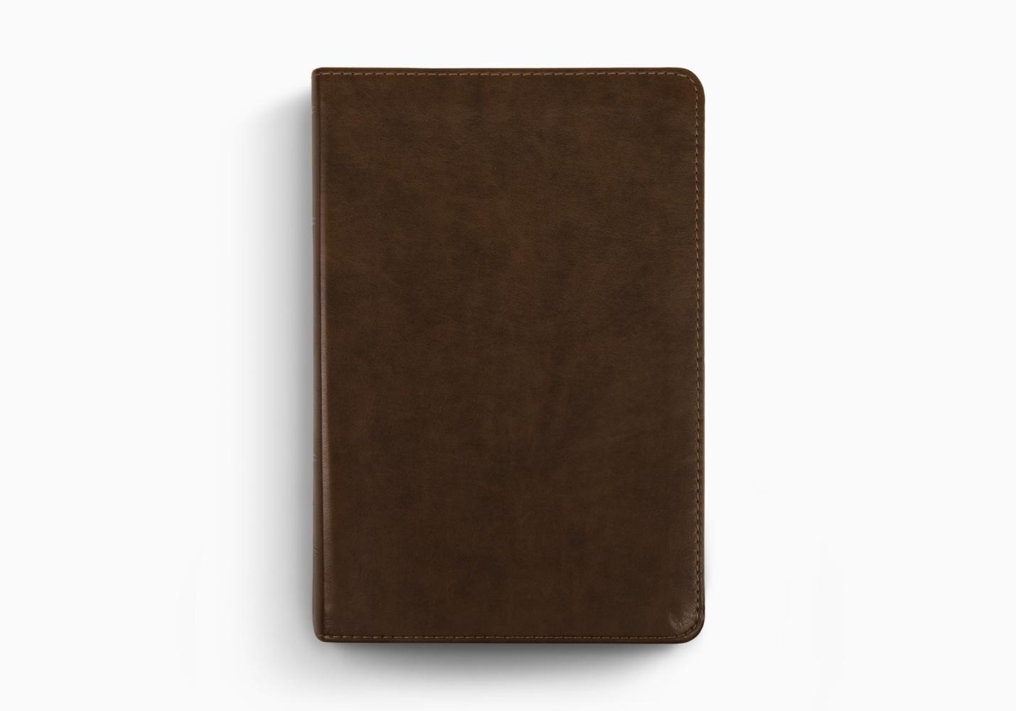 ESV STUDY BIBLE PERSONAL SZ TT BROWN