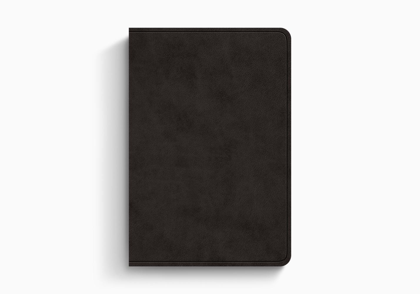 ESV COMPACT VALUE LARGE PRT BI TT BLACK